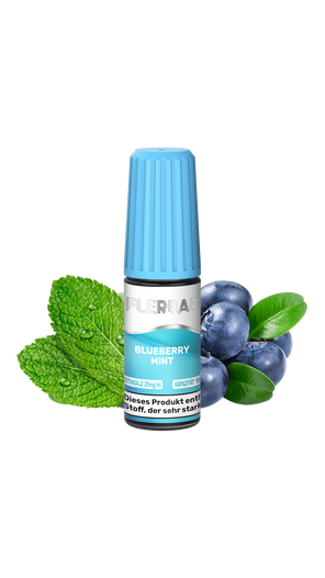 Flerbar Blueberry Mint jetzt online kaufen | Ali's Shisha Shop Wuppertal
